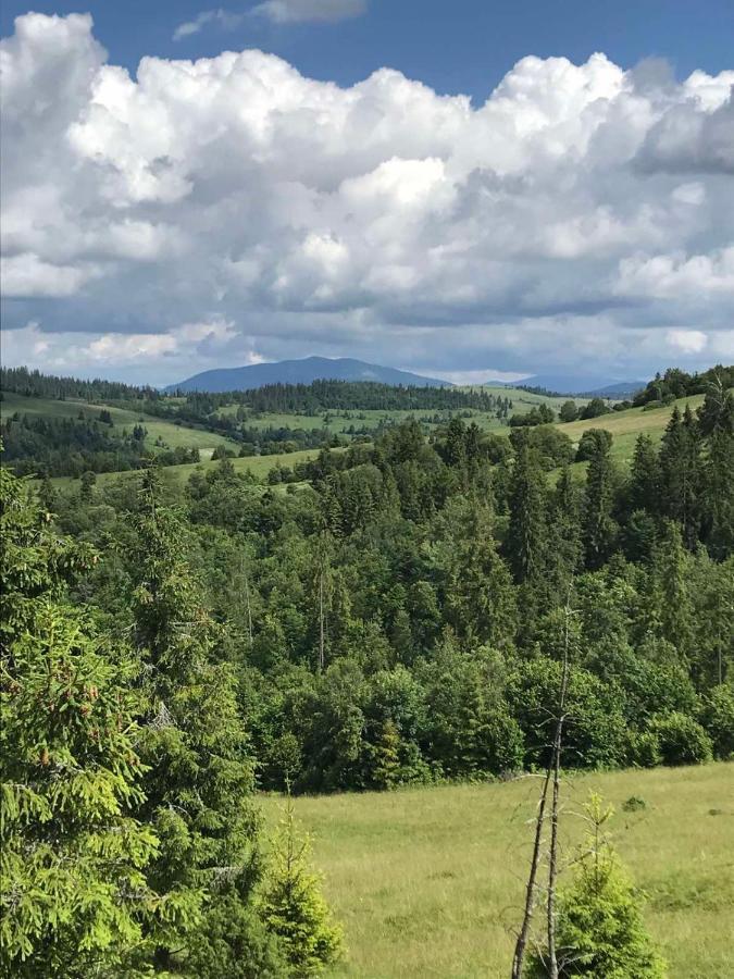 У Олега Hotel Verkhne-Studenyy ภายนอก รูปภาพ
